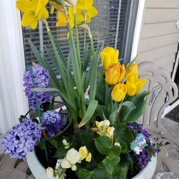 Meet your Posher, Mary - Picture 4 of 16